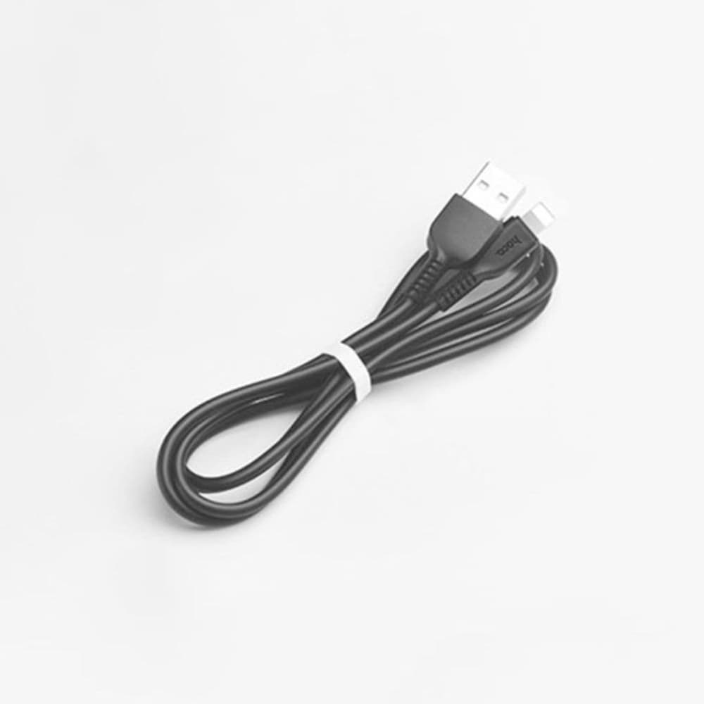 USB- Hoco X20, Lightning, 2.4 , 100 , 